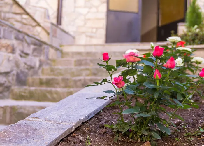 Trite Bora Gasthof Narechenski Bani